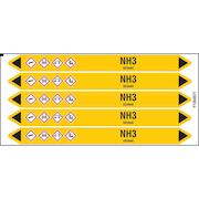 brady_n004421