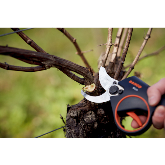 bahco_bcl23_12
