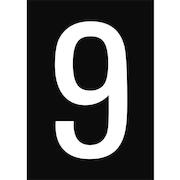 brady_911098