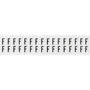 brady_234268