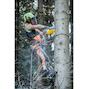 dewalt_dcmcst635x1_qw