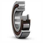 skf_nup219ecp