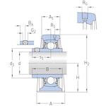 skf_sy158tf_2