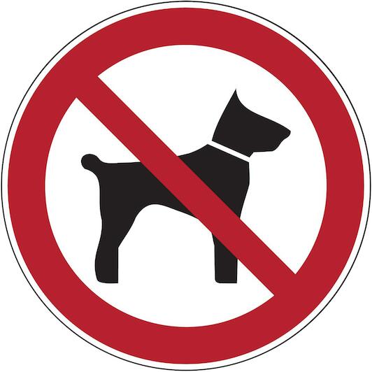 brady_222982