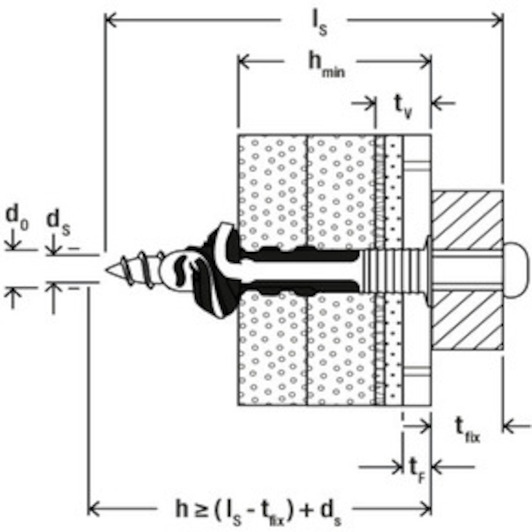 fischer_557728_11