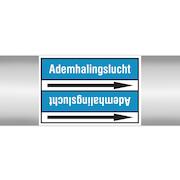 brady_267908