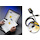 Categorie Fluke software