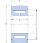 skf_natr20pp_2