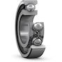 skf_w6304