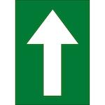 brady_911174