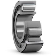skf_nj2004evc3