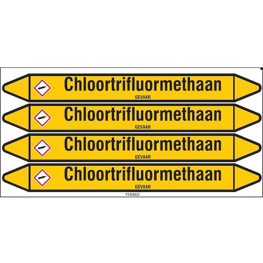 brady_n004151