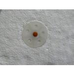 spit_057640_6