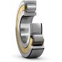 skf_nj409masc3