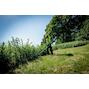 metabo_601728850_2