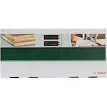 bosch_2609255732