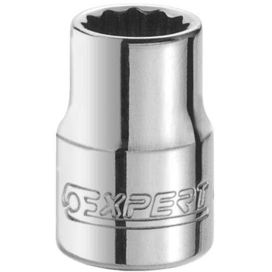 expert_e117054