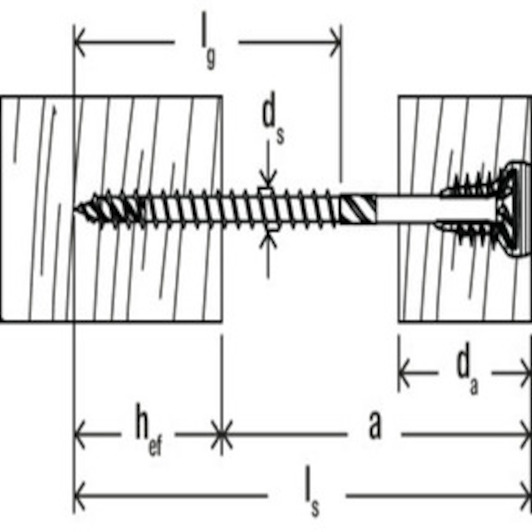 fischer_558880_6