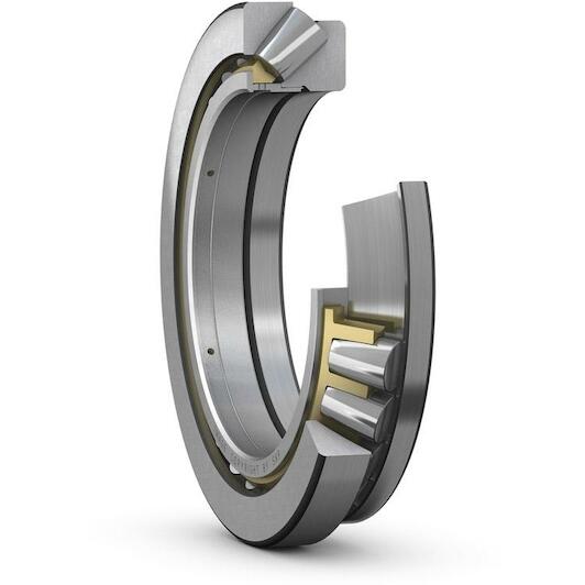 skf_29248