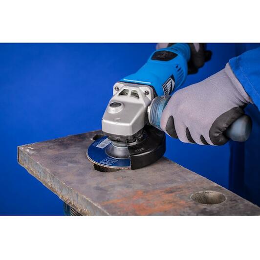 pferd_64276111_2