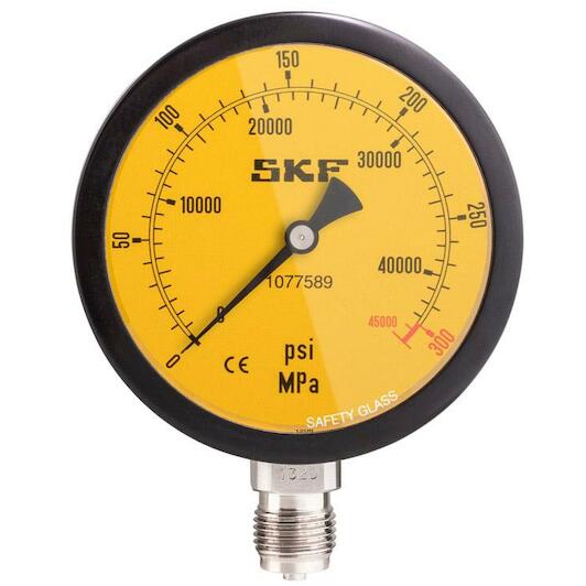 skf_1077589