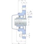 skf_f2bc25m_cpss_dfh_2