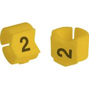 brady_333402