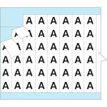 brady_112209_2