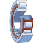skf_nupg309vhc3