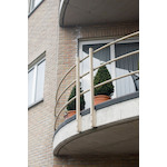 rectavit_127031_3