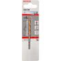 bosch_2608596691