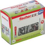 fischer_535463