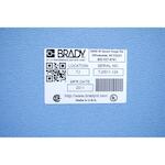 brady_020787_3
