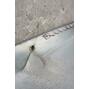 spit_225164