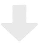 brady_104417