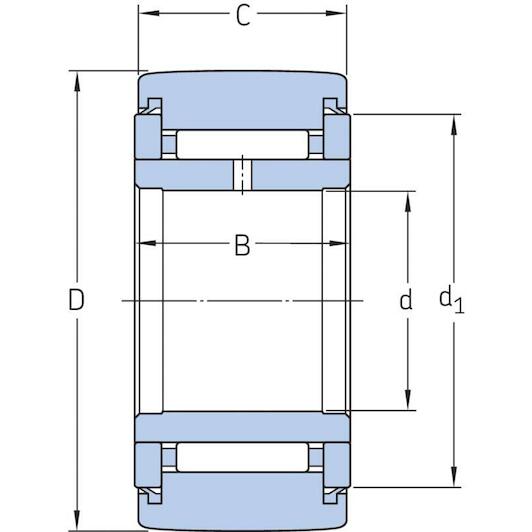 skf_natr5pp_2