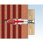 fischer_535463_11
