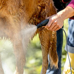 karcher_26438750_3