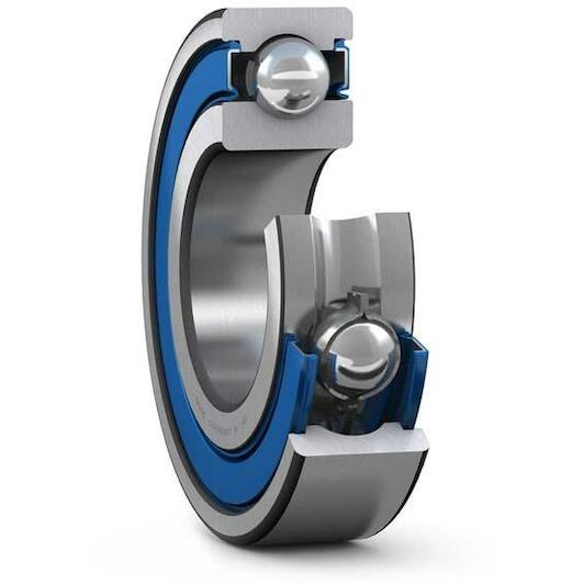 skf_w6005_2rs1vp311