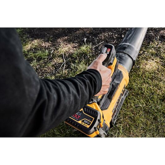 dewalt_dcmbl777n_xj
