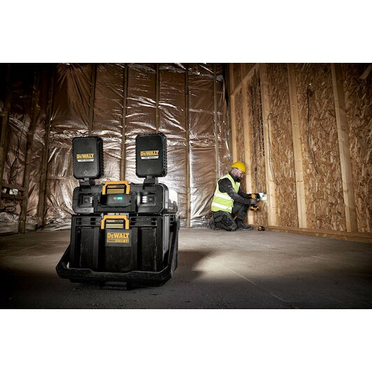 dewalt_dwst08061_1