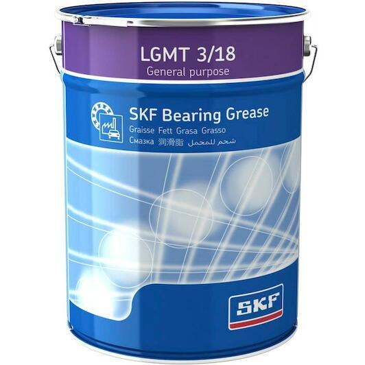 skf_lgmt318