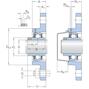skf_ucfl208h_2