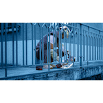 bosch_2608900537_6