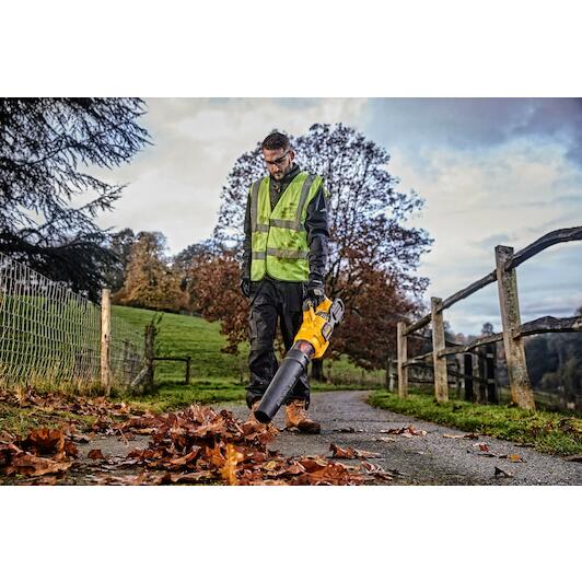 dewalt_dcmba572x1_qw