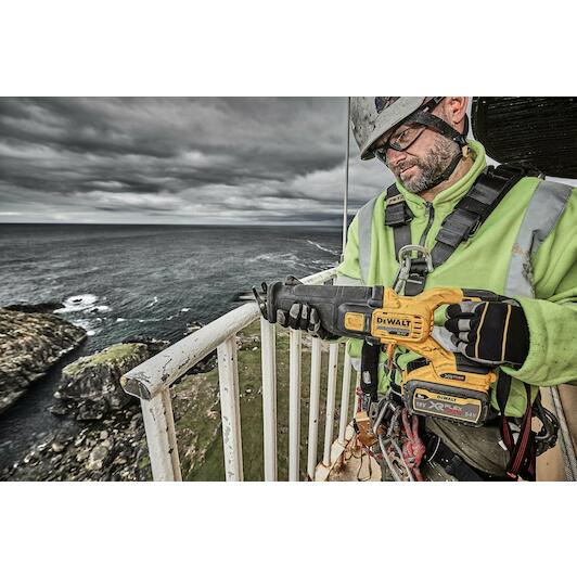 dewalt_dcs389x2_qw