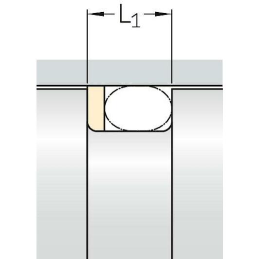 skf_str65x70x13_y95a_4