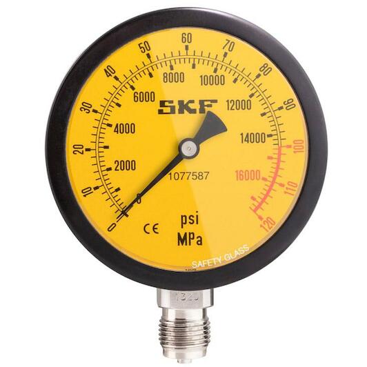 skf_1077587