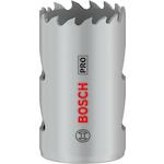bosch_2608901501