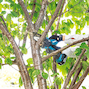 makita_duc101sf